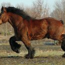 새우마농장 이미지