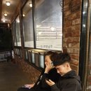 남창애견샵 복실강아지 이미지