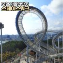 서진기획 | 포항 가볼만한곳 환호공원 스페이스워크 방문후기