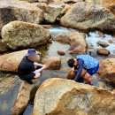 천리향 펜션 | [천리향 펜션] 지리산 계곡 앞 수영장까지 있는 내돈내산 경남 산청 독채펜션 찾는다면 여기!