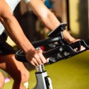 에코랜드수영장 체육관 이미지