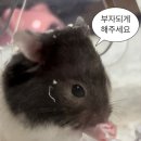 엔오바이오서울지사 | 가성비 일본여행 ♥ 은평구 찐찐 일식맛집 :: 시메사바 순 내돈내산 후기 '0'
