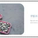 가족 커플펜션 해루피아 이미지