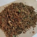 인동농장 이미지