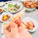 강원 속초 포장마차거리 &#34;아지트&#34; 신선한 꽃새우 닭새우 찐맛집