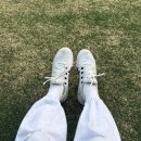 창원시립테니스장 코트장 | [시흥 테니스장]내가 가본 시립 코트장 7곳 비교 후기