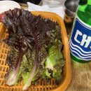 조방숯불곱창