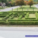 덕유대풀옵션 이미지