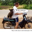 청하부분정비
