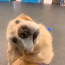 사랑인약국 앞 이미지