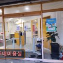 뚜뚜애견 | 대구 반려동물비용 애견미용 강아지 고양이 뚜뚜네미용실 반려동물 맞춤 케어