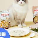 더 스튜 이미지