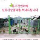 퍼피키티 이미지