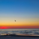 테라스타오션 이미지