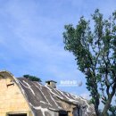 단골목장 이미지