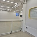 멍균관대 이미지