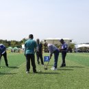 그라운드 골프 이미지