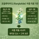 코글루타이드 후기 효과 부작용 복용법 성분 직구 vs 국내판매