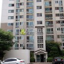 사은로 126번길3 이미지