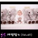 세형이네