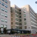 E-DENTAL 이미지