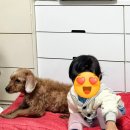 꼬꼬 호프 마을 | 2023년의 9월이란