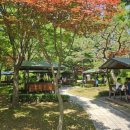 안성맞춤가족공원 이미지