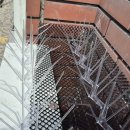 비둘기미용실 이미지