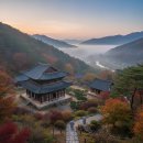 대흥사 | 힐링과 성찰의 시간: 해남 대흥사 템플스테이 경험 후기