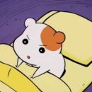 자장자장 이미지