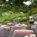 지향가든 이미지