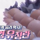 양계장농장 이미지