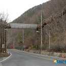 탄방로 뉴시스