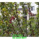 답십리8 이미지