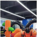 팀에이스태권도 이미지