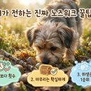 (주)메트워크 이미지