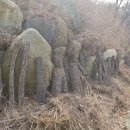 광재농장 이미지