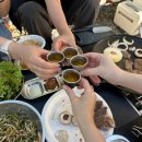 마산로17번안길 | 시흥 물왕숲캠핑파크 파쇄석 18번ㅣ친구들이랑 1박 2일 먹부림 후기ㅣ카즈미 비바돔플러스