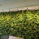 진산면사무소 이미지