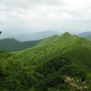 동북아파트 입구 이미지