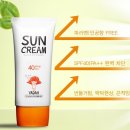 선(SUN) 이미지