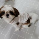 북수원카페 공인중개사사무소 이미지