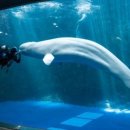 아쿠아플라넷 여수 이미지