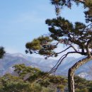 자유인의 카라반 이미지