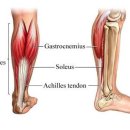 세호한의원 이미지