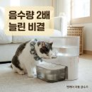 (주)정수사료 | 펫케어 무선 플로우 자동 급수기 음수대, 후기 말고 제대로 고르는 정보