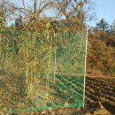 재용목장 이미지