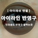 엔젤아이래쉬 | 인천반영구*송도반영구 잘하는곳 [ 아이래쉬 엔젤 ] 후기여!