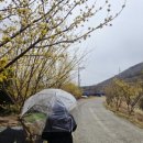 예곡3교 이미지