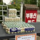 경희대석사 늘푸른태권도장 | [석사경희대태권도] 하교 이벤트 💙